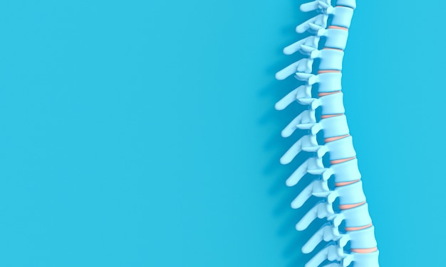 Photo 3d render image of a spine on a blue background.