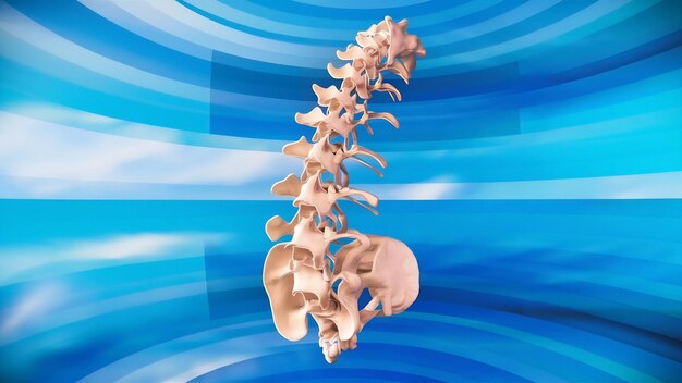 Photo 3d render image of a spine on a blue background