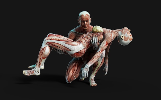 남성과 여성 인물의 3D 렌더링은 어두운 배경에 피부와 근육 지도와 함께 포즈를 취합니다.