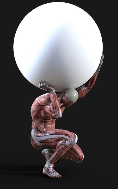 3D render of male figures pose with muscle