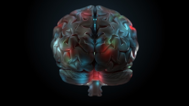 밝고 밝은 영역이 있는 뇌의 3d 렌더링. 뇌의 표면은 다른 색상으로 강조 표시됩니다.