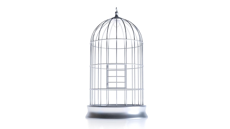 Photo 3d render of silver bird cage isolated on white background