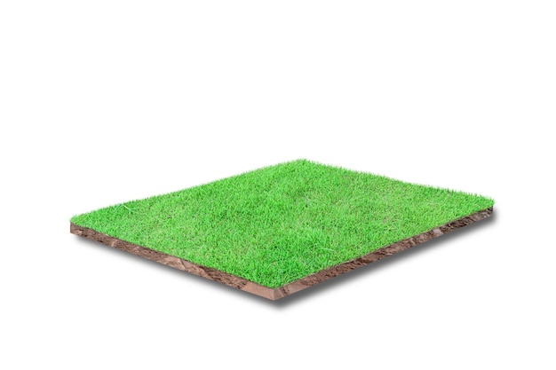 Photo 3d render. soil cubical cross section with green grass isolated on white background