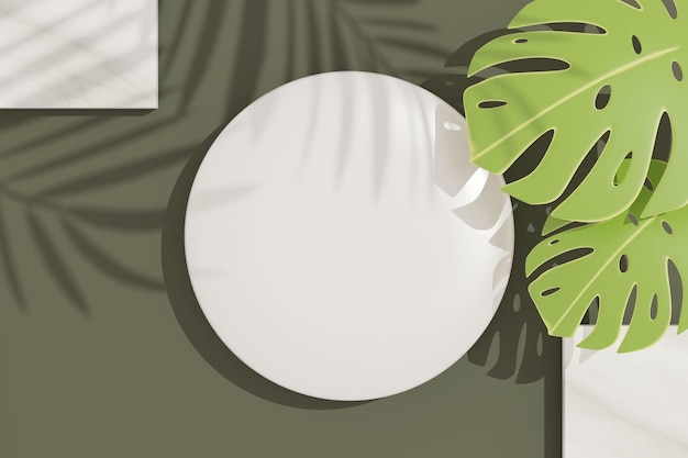 3d render vista dall'alto del telaio del cilindro bianco vuoto per simulare e visualizzare prodotti con ombre di foglie di palma, tonalità della terra e sfondo del muro di terrazzo. concetto di idea creativa.