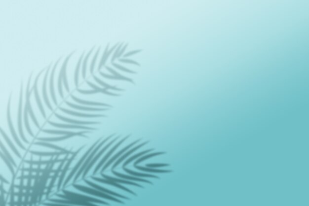 3d render tropical leaf shadow on light blue background