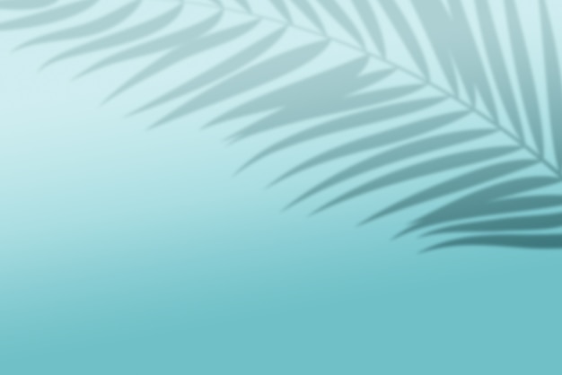 3d render tropical leaf shadow on light blue background