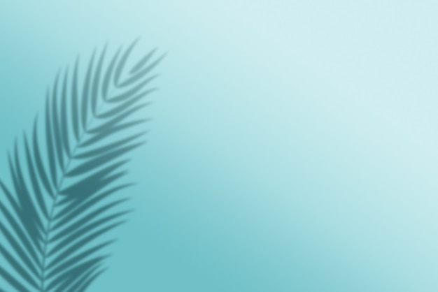 3d render tropical leaf shadow on light blue background