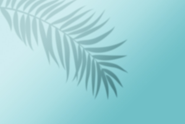 3d render tropical leaf shadow on light blue background