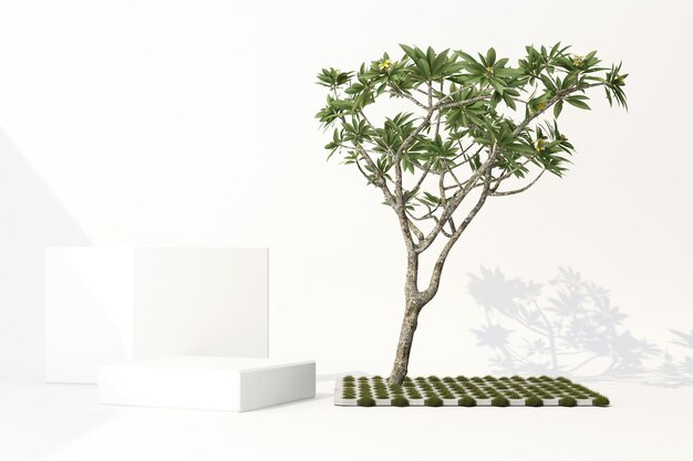 Foto rendering 3d di piante tropicali isolate su sfondo bianco