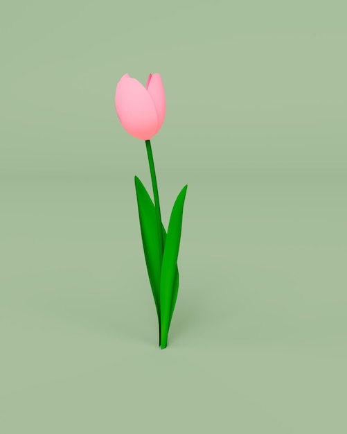 3d render of Tulip isolated on Pastel background 3d background minimal scene