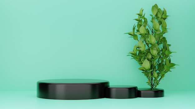 3D render voor luxe zwarte podia met plant