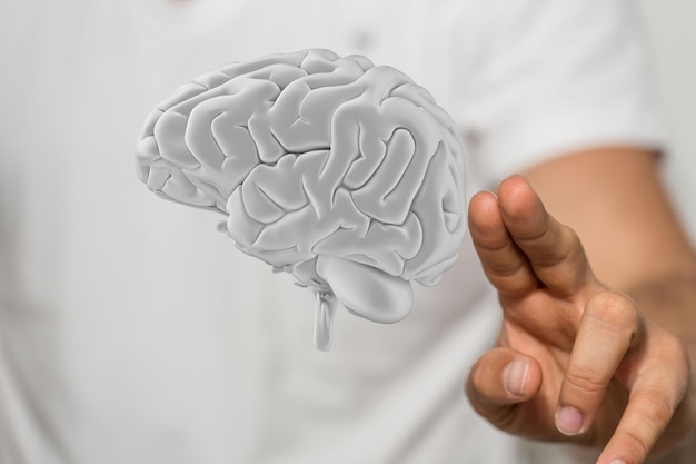 3D render of a white human brain near a hand