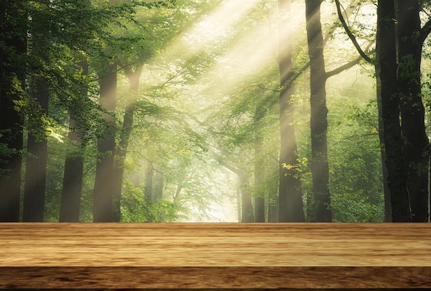 Foto 3d rendering di un tavolo di legno che guarda fuori ad un interno della stanza defocussed