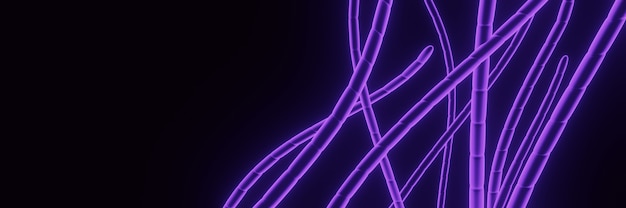 Photo 3d rendered abstract purple worms.