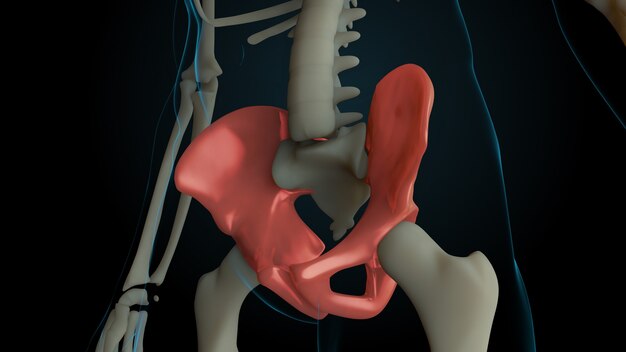 3d rendered illustration of skeleton structure with injured bones. Bone pain is shown by red glow. Pain in in pelvis bones.