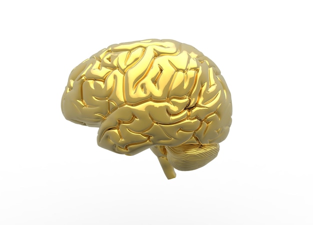 3D Rendered image of a human Brain - Glossy gold