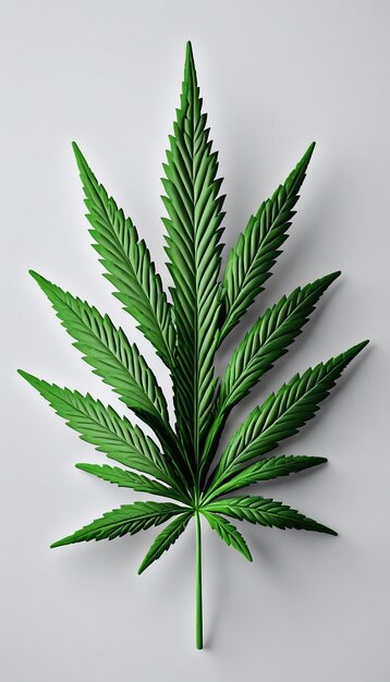 3D Rendered Marijuana Leaf