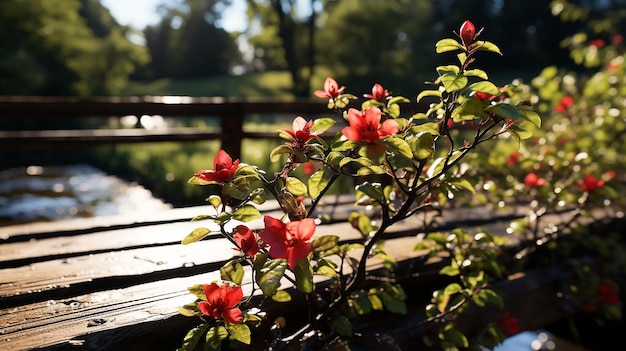 3d rendered photo of beautiful flowers