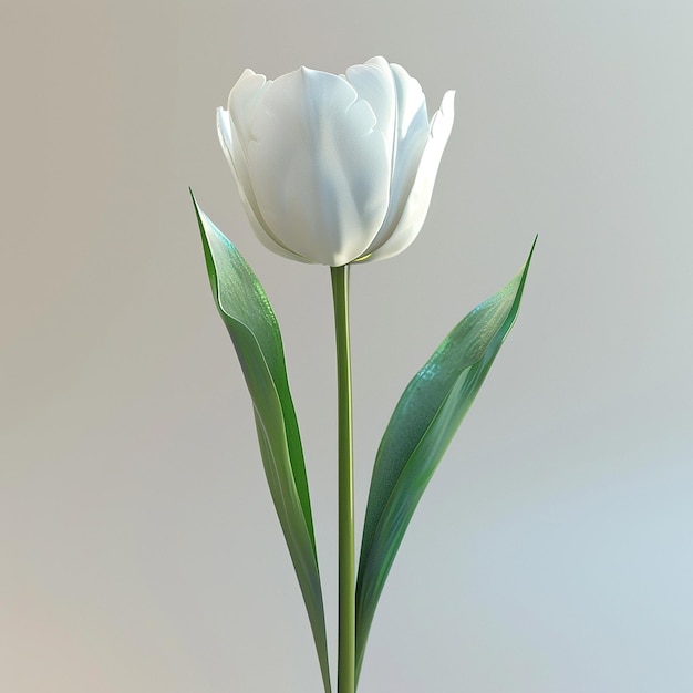3d rendered photos of slightly tilted downward 1d One blooming tulip simple style plain background
