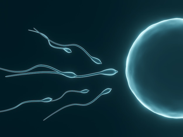 3D rendering. Blue microscopic sperm and egg cell.