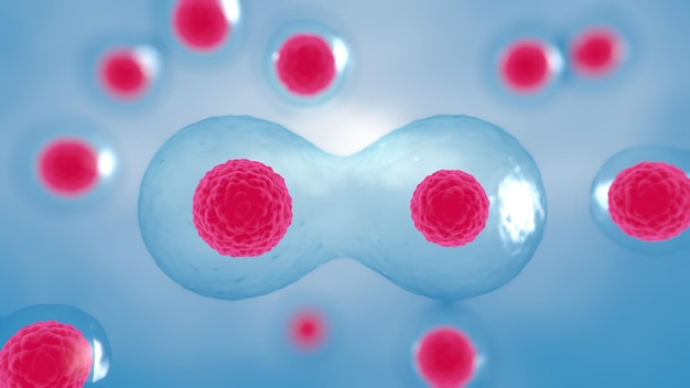 3D rendering Cell division process