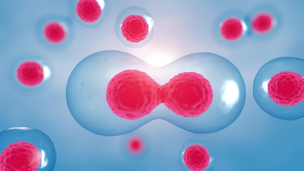 3D rendering Cell division process