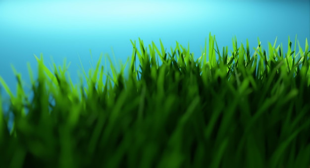 Premium Photo | 3d rendering closeup fresh grass on blue ...