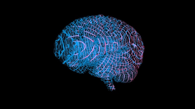 Photo 3d rendering of a computer model of a human brain