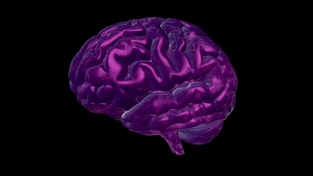 Photo 3d rendering of a computer model of a human brain