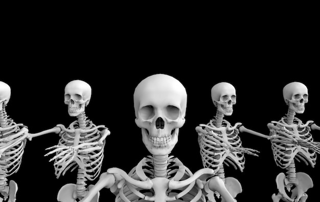 3d rendering. ghost  human skull skeleton bones team row on black . horror halloween .