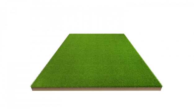 3d rendering of green grass field isolated.