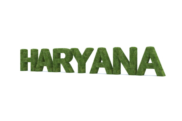 3d rendering of green grass haryana word isolated on white background