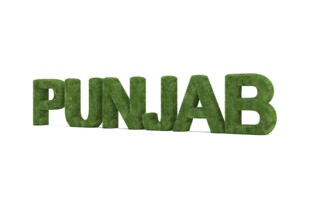Photo 3d rendering of green grass punjab word isolated
