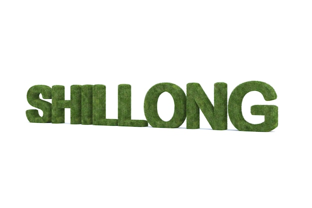 3d rendering of green grass shillong word isolated 