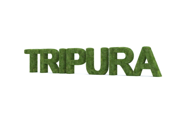 3d rendering of green grass tripura word isolated 