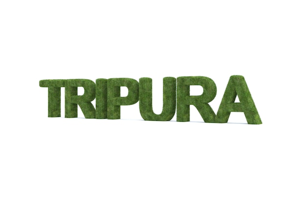 3d rendering of green grass TRIPURA word isolated 