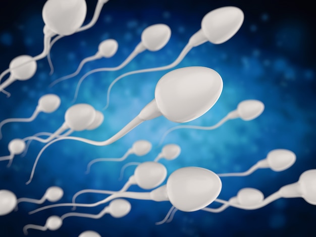 3D-rendering groep witte spermacellen