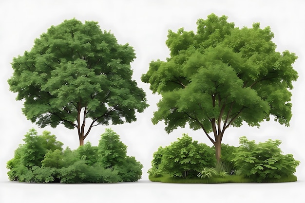 3D rendering of a group of trees isolated on a white background