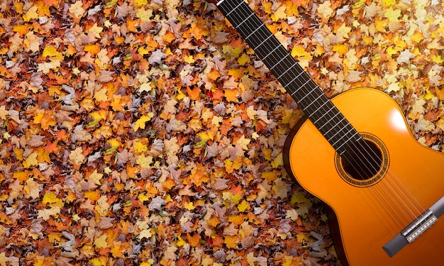 3d rendering guitar on vintage autumn garden