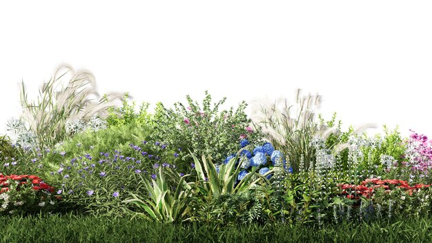 3d rendering illustratie natuur weide struik op gazon gras mooie plant op witte achtergrond