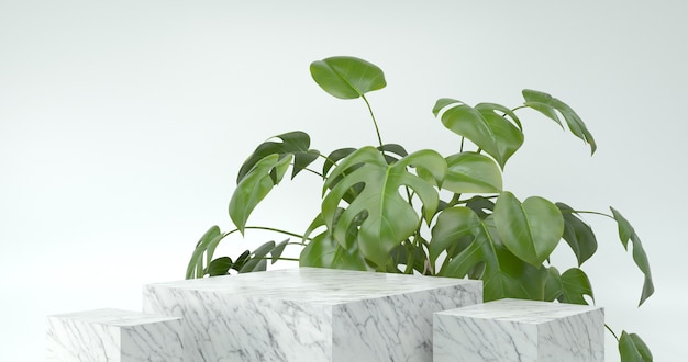 대리석 연단과 Monstera 식물의 3d 렌더링.