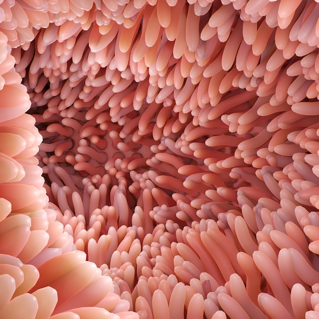 3d rendering medically accurate illustration of intestinal villi red microvilli in a intestinal tract organ of the gastrointestinal