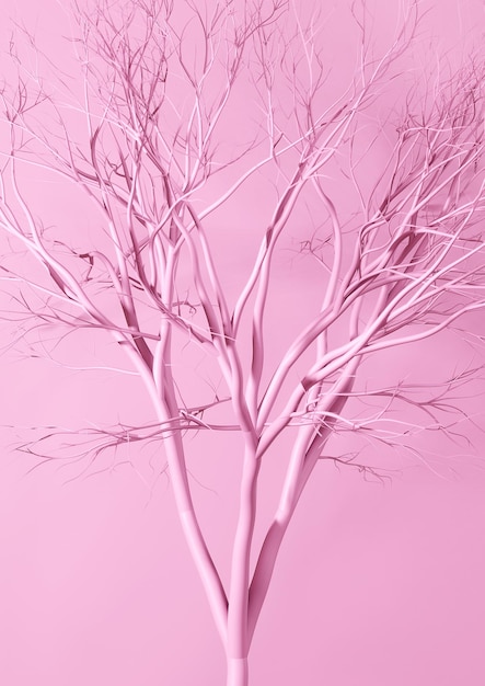 3d rendering Mockup premium poster Pink Dry Tree Branches scene Images Abstract background