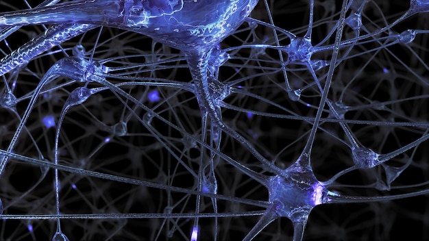 3D rendering of a network of neuron cells and synapses through which electrical impulses and discharges pass during the transmission of information inside the human brain