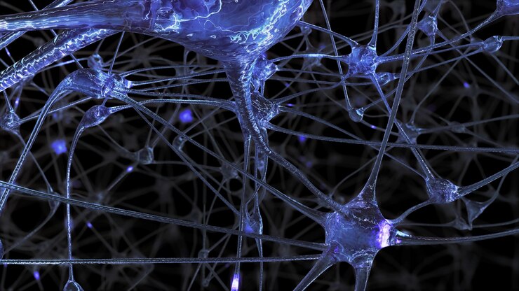 Photo 3d rendering of a network of neuron cells and synapses through which electrical impulses and discharges pass during the transmission of information inside the human brain