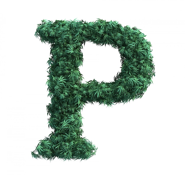 Фото 3d-рендеринг листьев конопли, образующих букву p