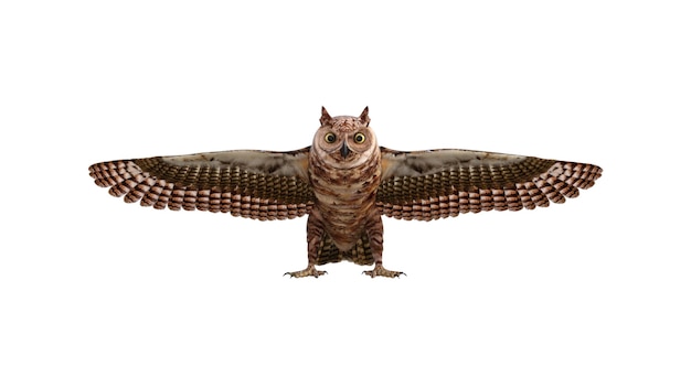 Photo 3d rendering of a owl on white background