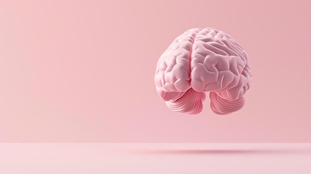 A 3D rendering of a pink brain on a pink background The brain is facing the viewer and is slightly angled to the right