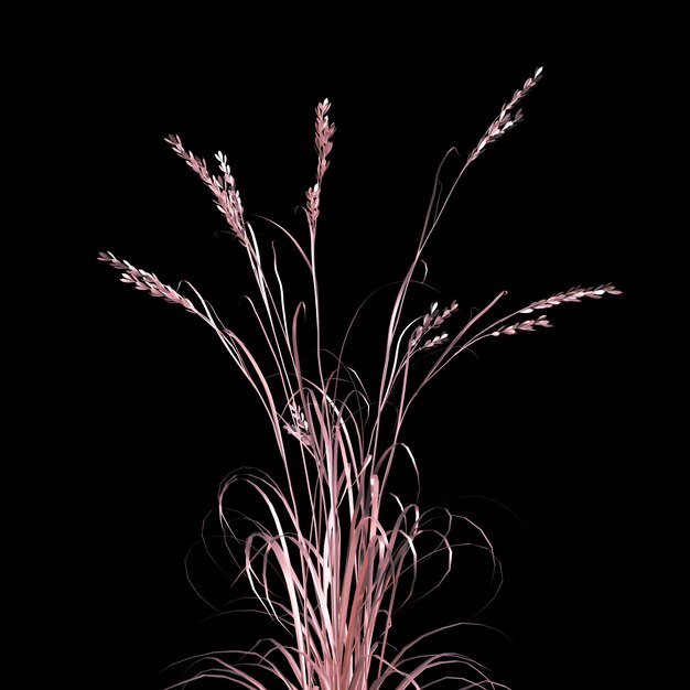 3d rendering of pink wheat