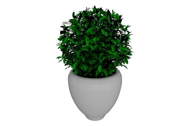 3D-rendering plant met witte elegante pot